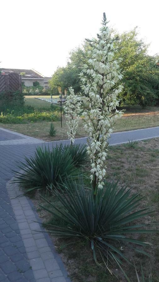 Apartament Wolin Nad Woda Kolo Miedzyzdrojow エクステリア 写真